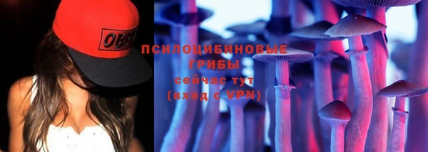 стафф Верхний Тагил
