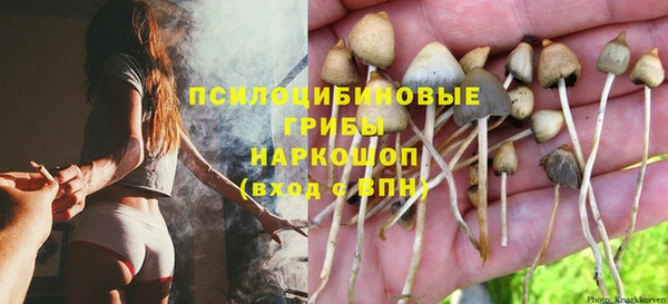 бутират Верея