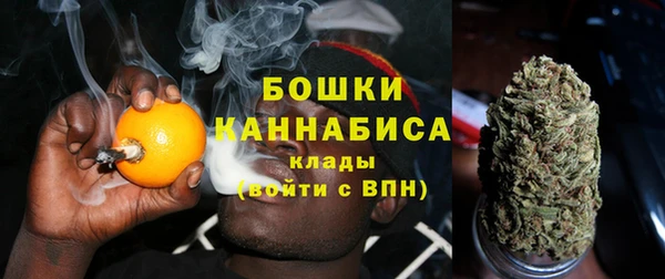 mix Богородицк
